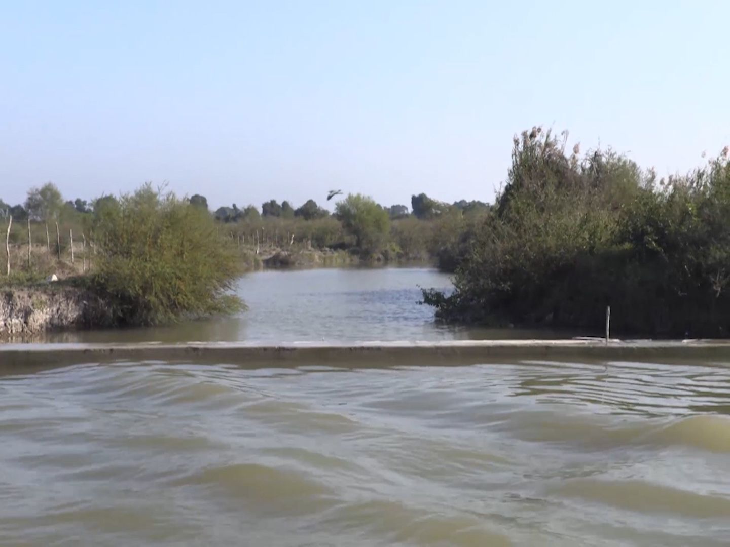 WhatsApp Image 2026-02-10 at 10.00.40 PM.jpeg