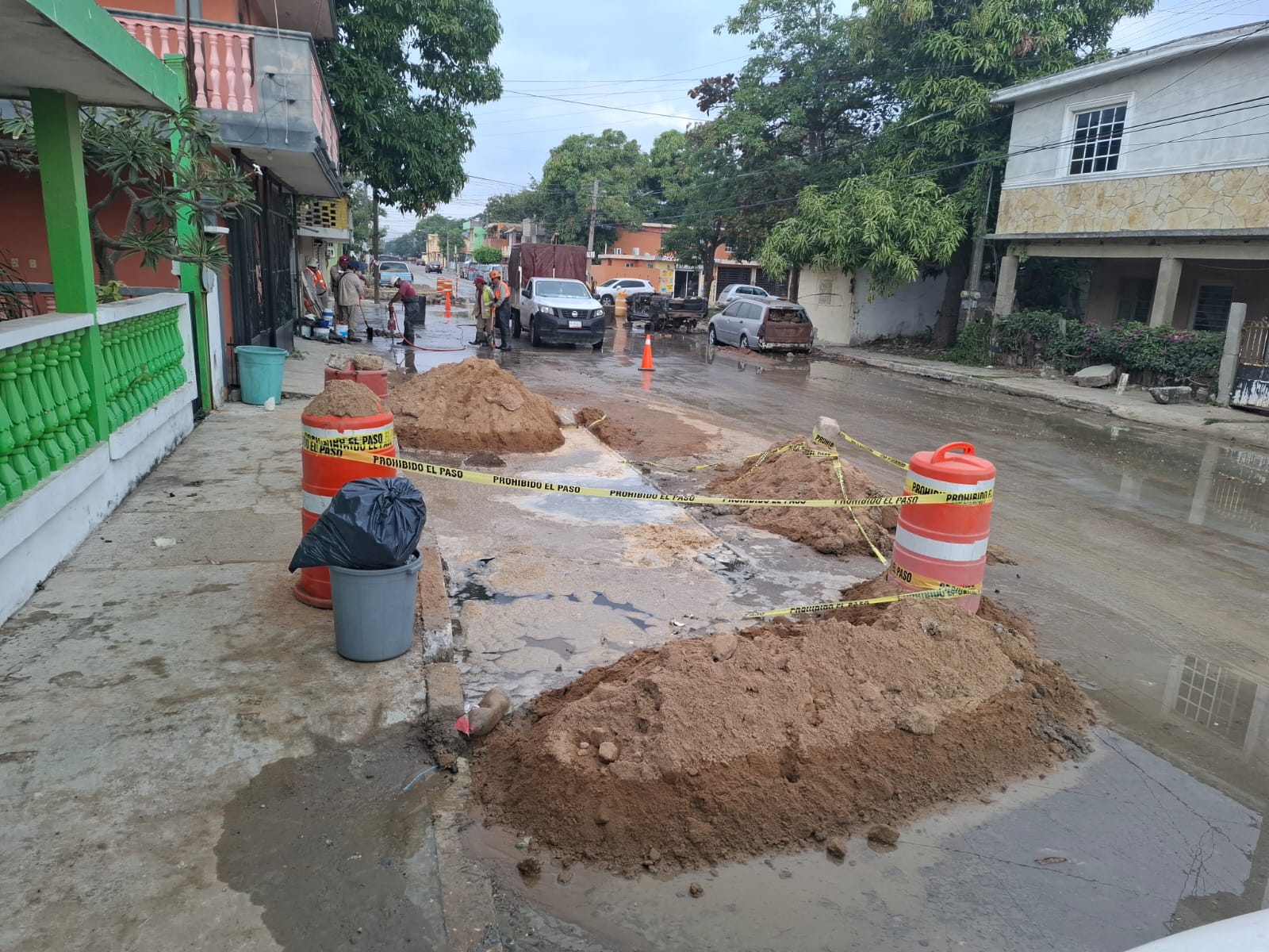 WhatsApp Image 2026-02-11 at 15.15.40.jpeg