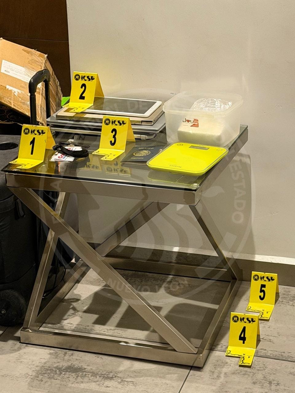 WhatsApp Image 2026-02-12 at 12.22.18 PM (3).jpeg