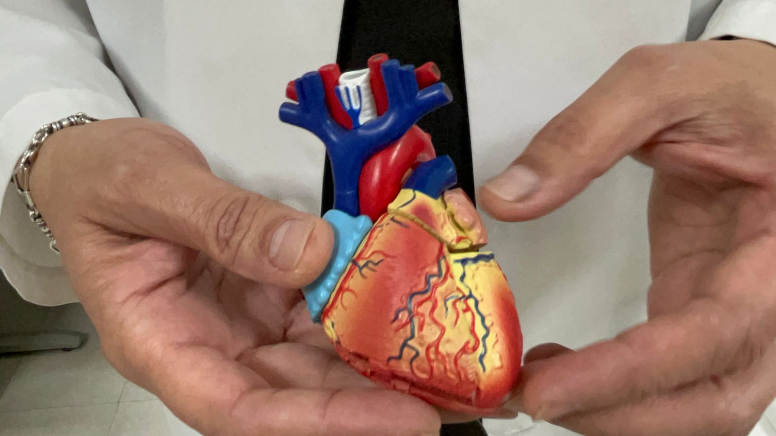 WhatsApp Image 2026-02-12 at 3.32.14 PM.jpeg