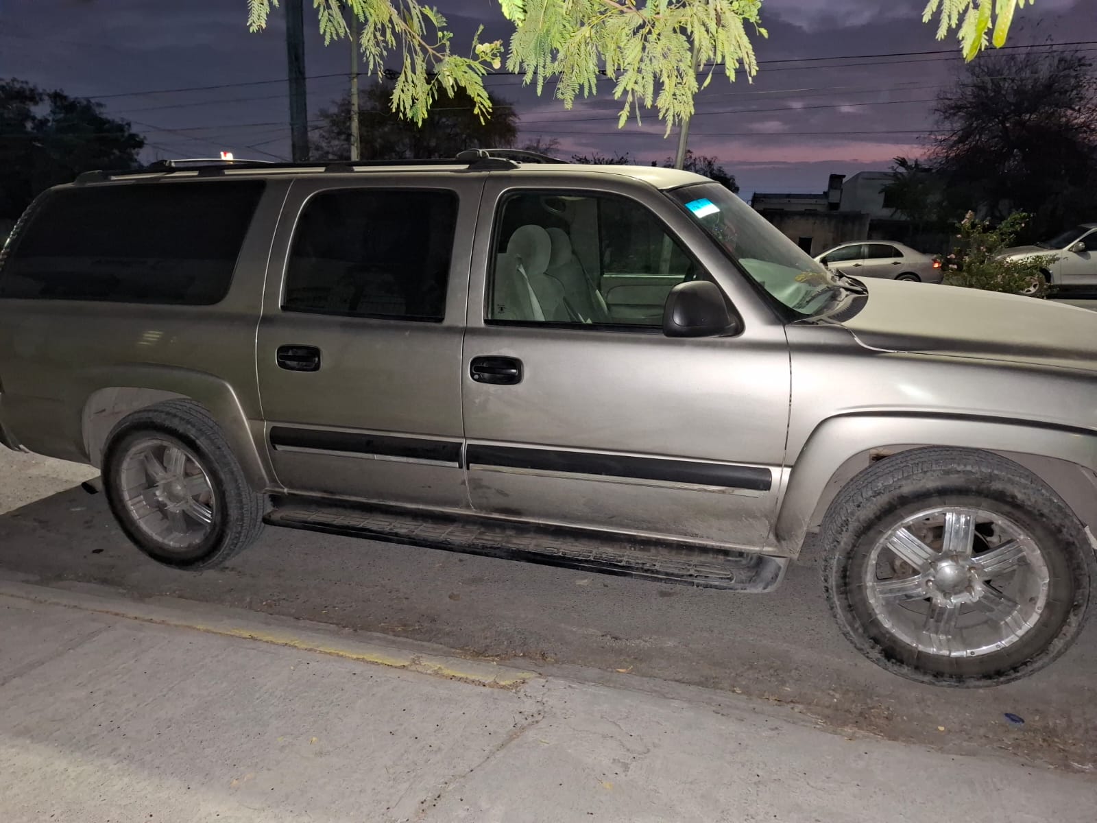 WhatsApp Image 2026-02-12 at 8.07.04 AM.jpeg