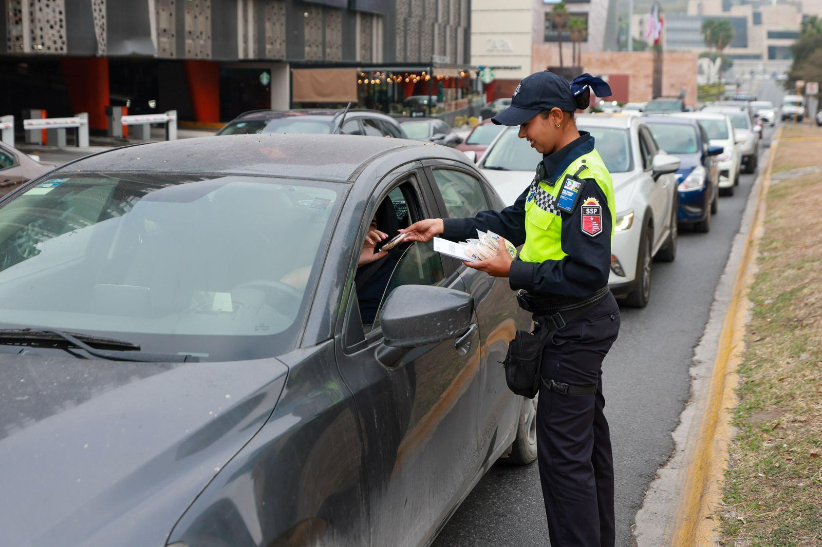 WhatsApp Image 2026-02-13 at 8.36.54 PM.jpeg