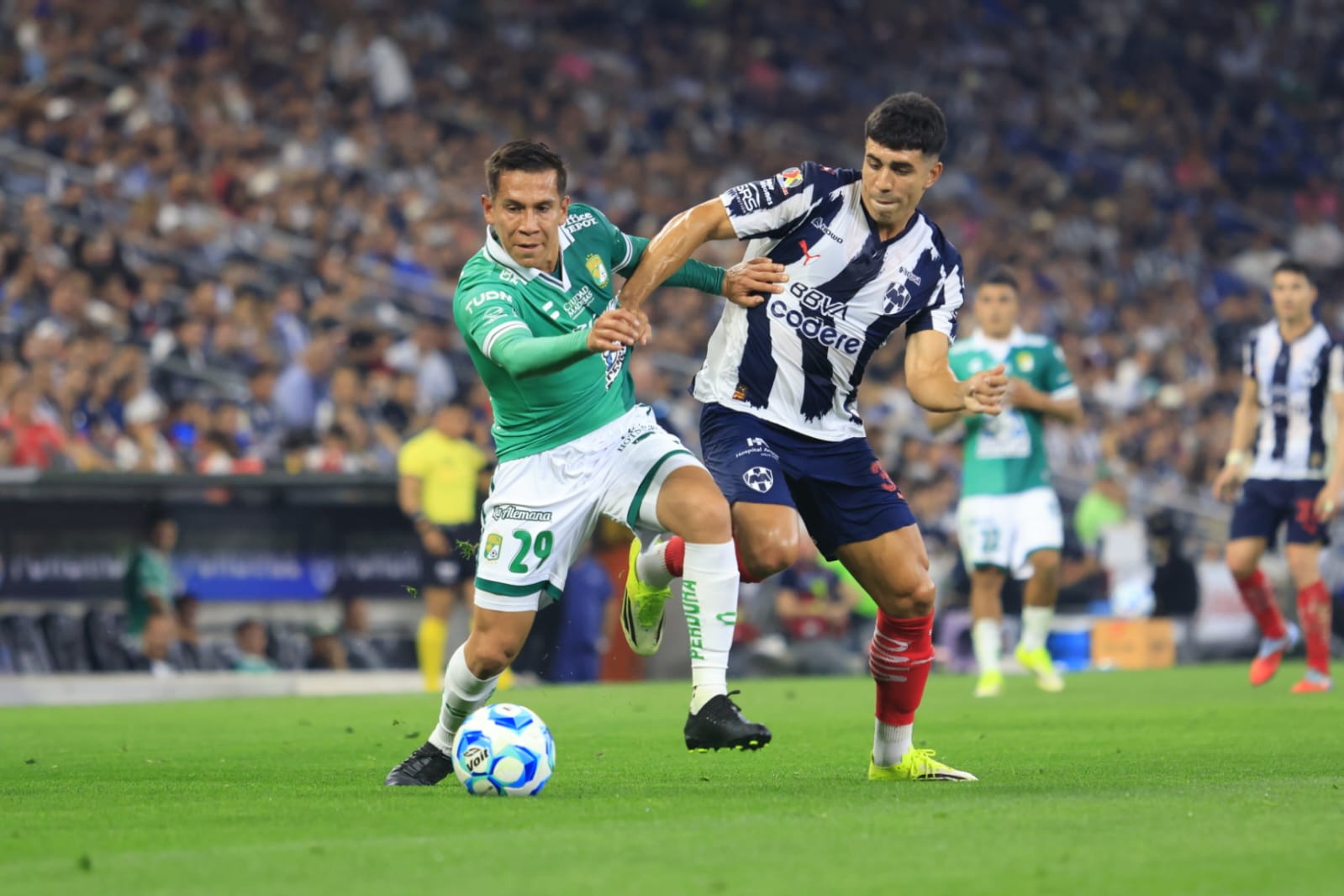 WhatsApp Image 2026-02-14 at 9.05.43 PM.jpeg