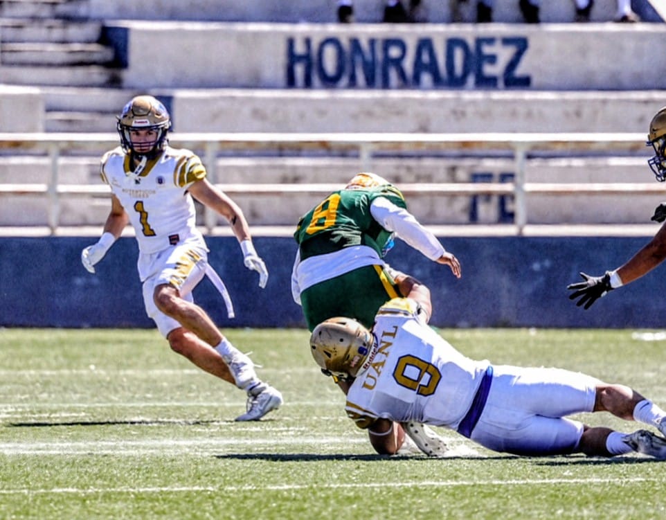 WhatsApp Image 2026-02-14 at 9.46.15 PM.jpeg