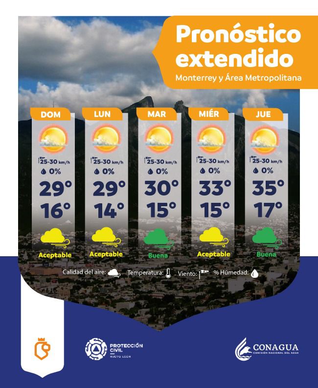 WhatsApp Image 2026-02-15 at 08.03.05.jpeg