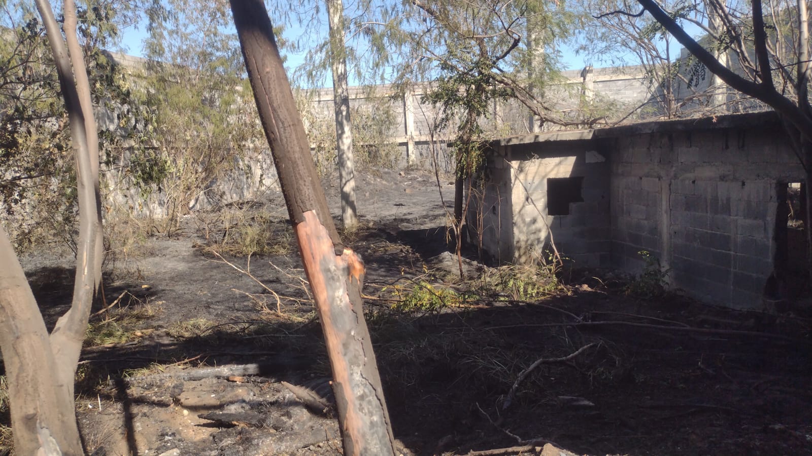 WhatsApp Image 2026-02-15 at 15.42.52 (1).jpeg