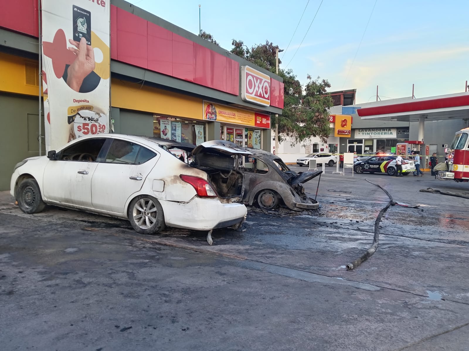 WhatsApp Image 2026-02-15 at 7.19.46 PM.jpeg