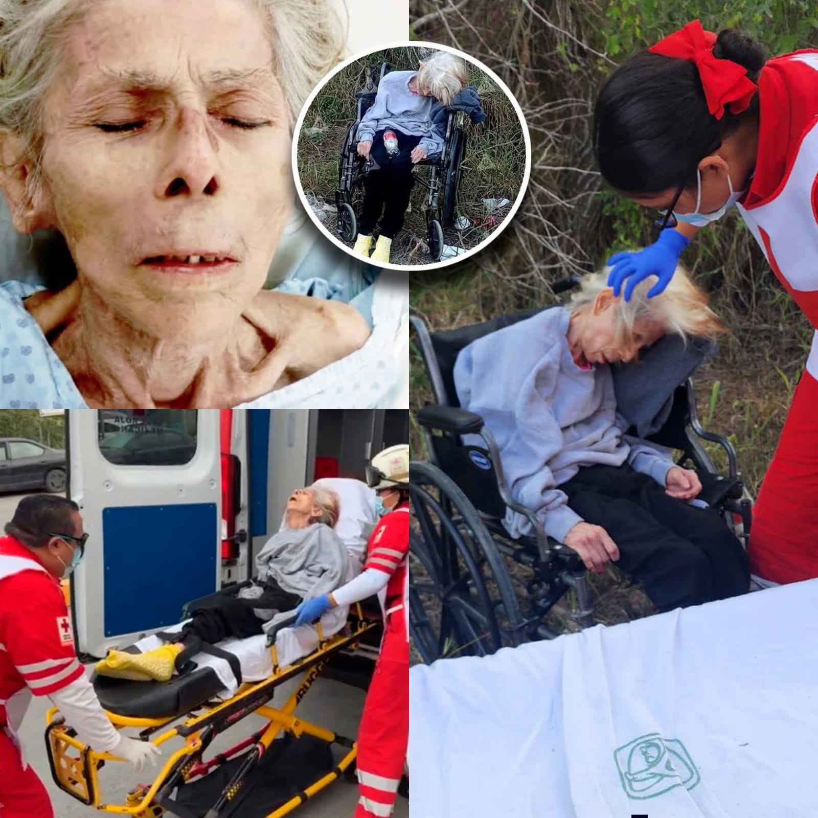 WhatsApp Image 2026-02-16 at 11.48.17.jpeg