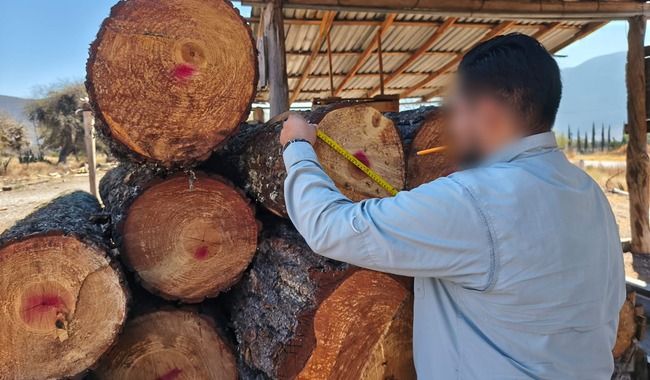 WhatsApp Image 2026-02-16 at 3.20.09 PM.jpeg