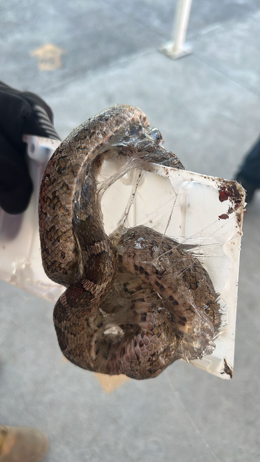 WhatsApp Image 2026-02-17 at 14.09.13.jpeg