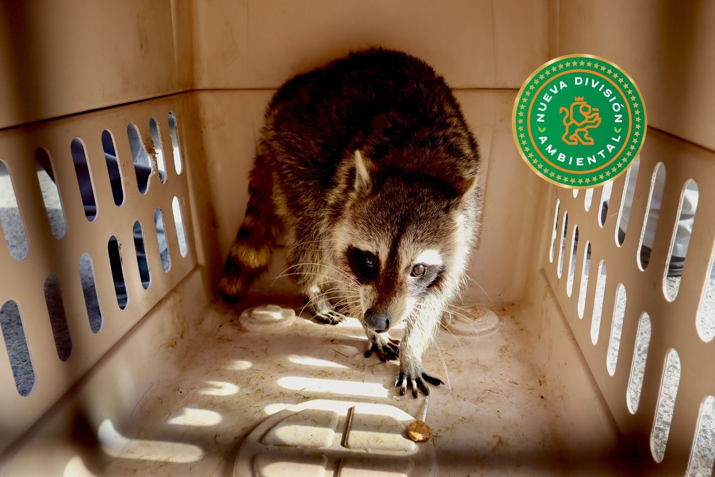 WhatsApp Image 2026-02-17 at 2.33.08 PM.jpeg