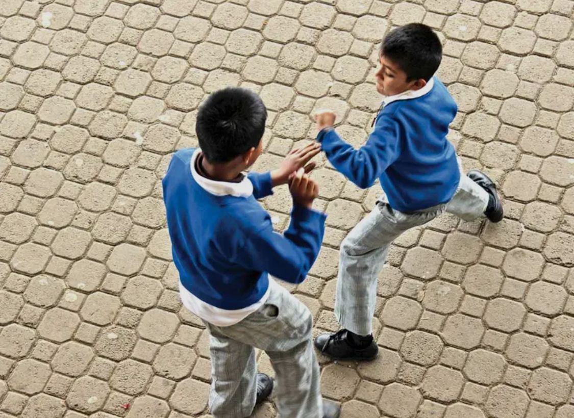 WhatsApp Image 2026-02-19 at 7.01.41 AM.jpeg