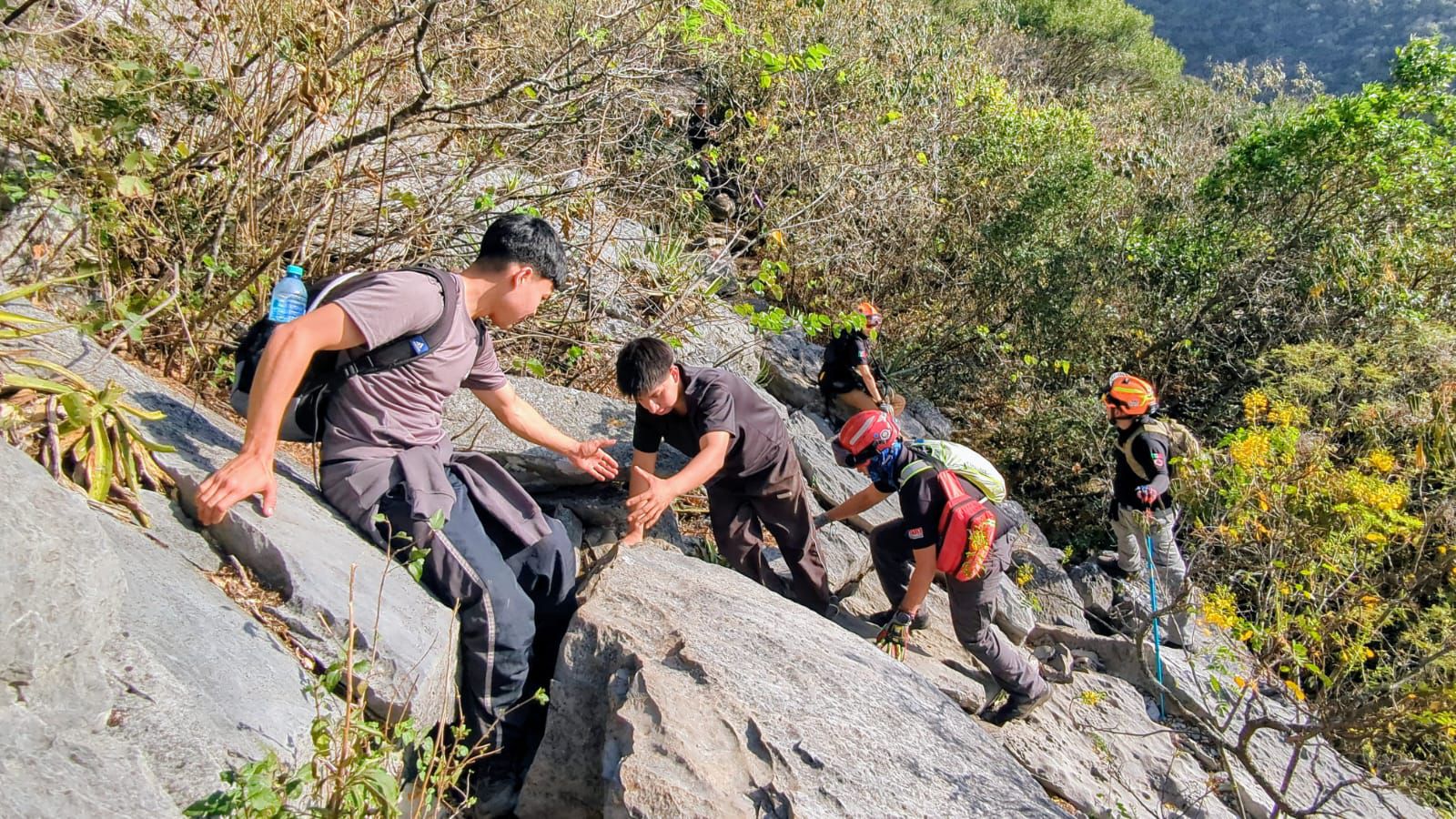 WhatsApp Image 2026-02-19 at 7.47.51 PM.jpeg