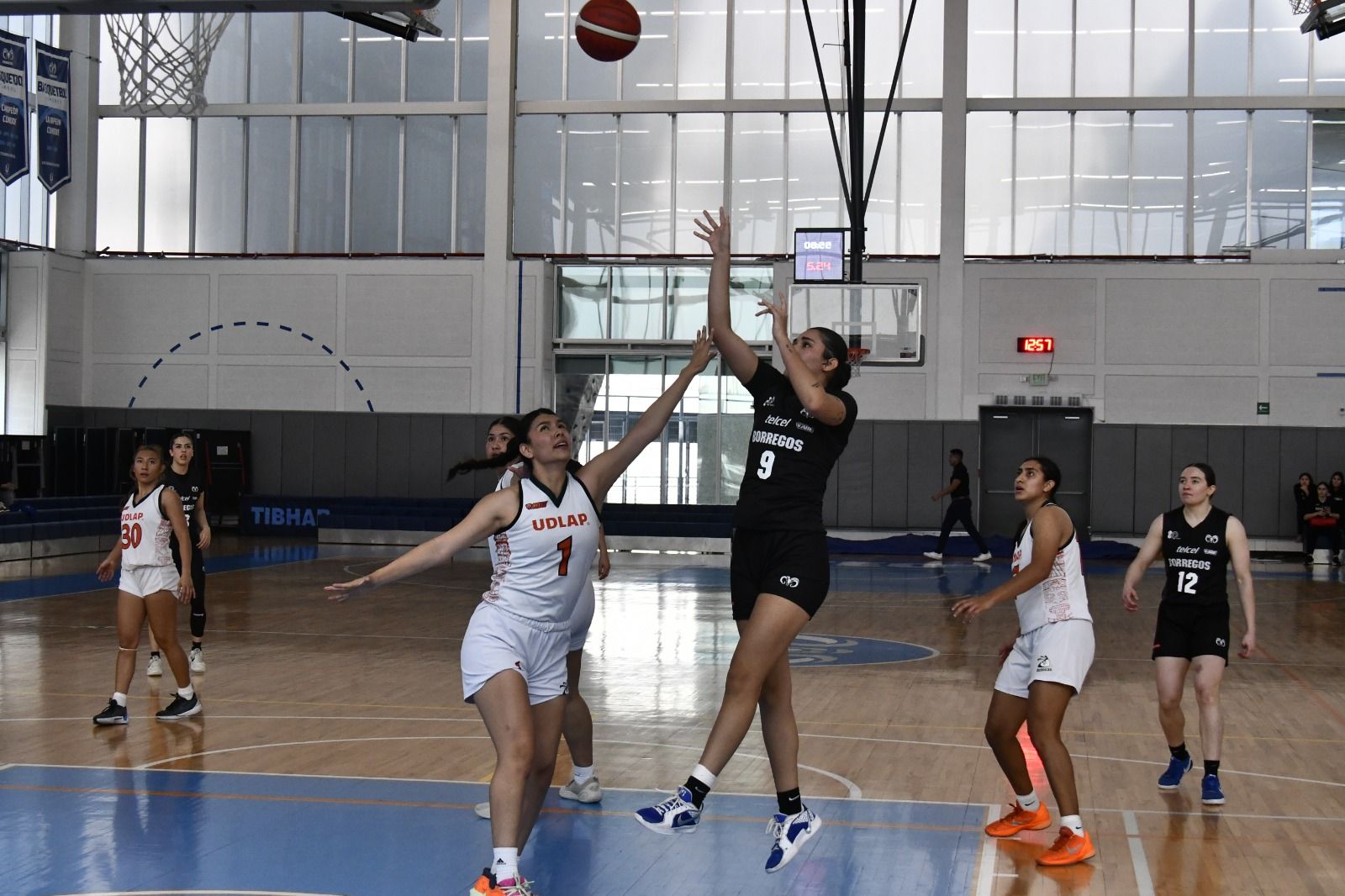 WhatsApp Image 2026-02-20 at 12.20.43 AM.jpeg