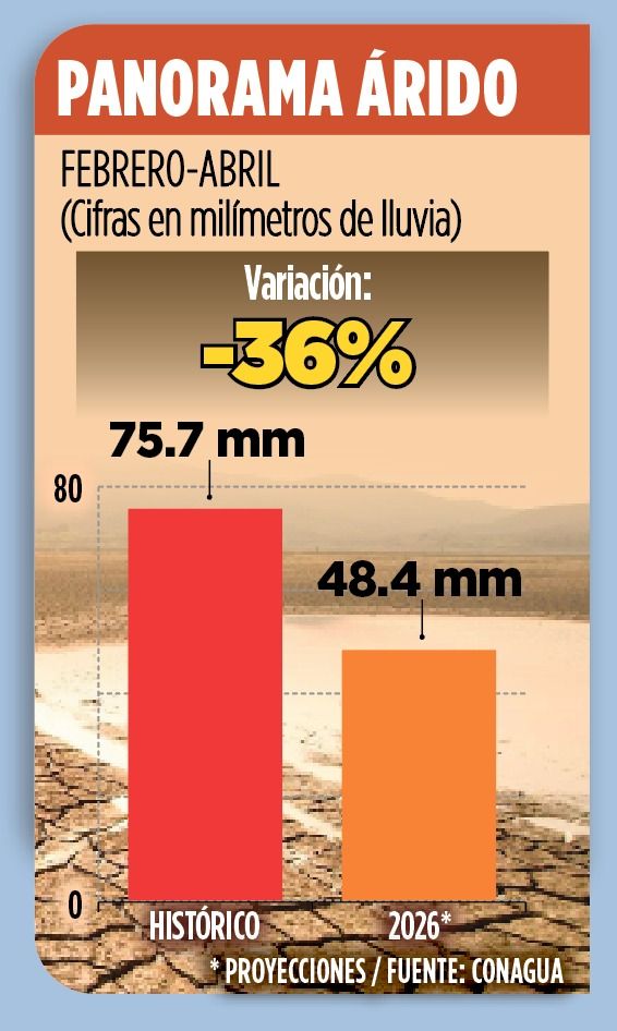 WhatsApp Image 2026-02-20 at 12.23.04 AM.jpeg