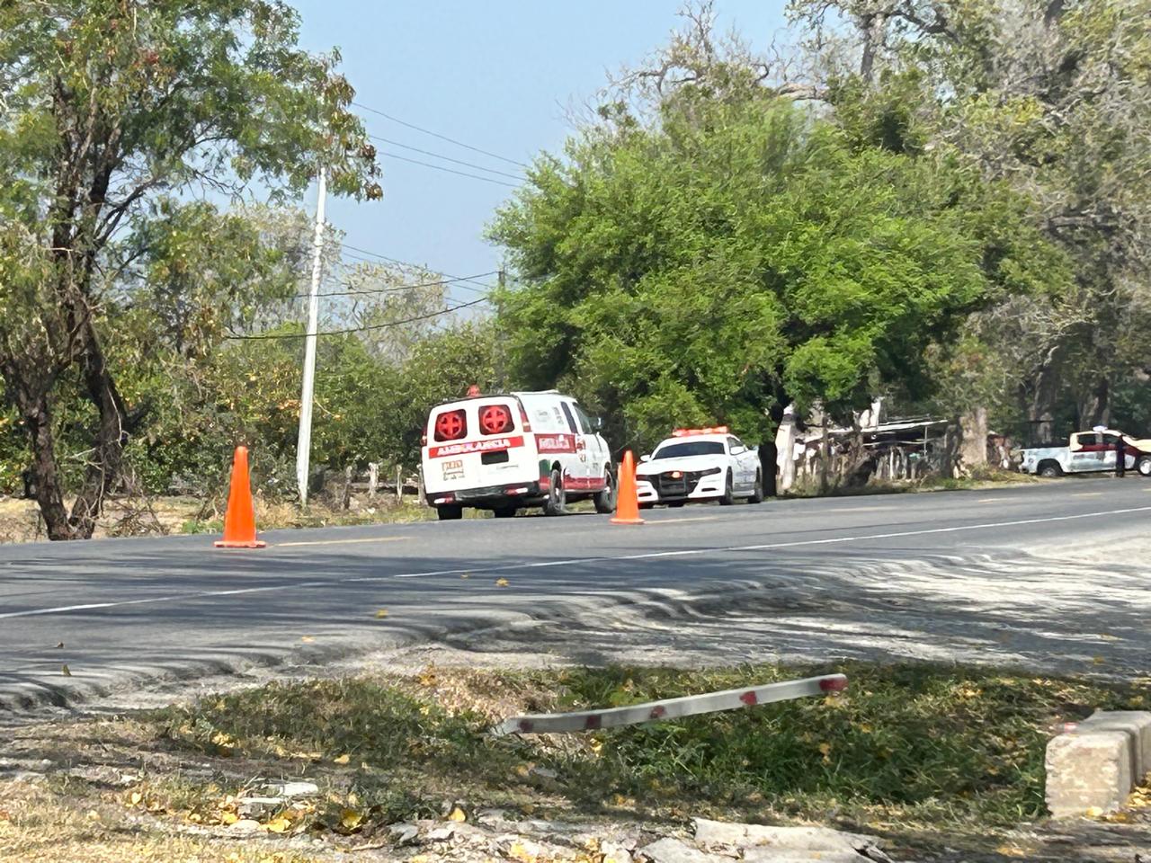 WhatsApp Image 2026-02-20 at 4.30.42 PM.jpeg