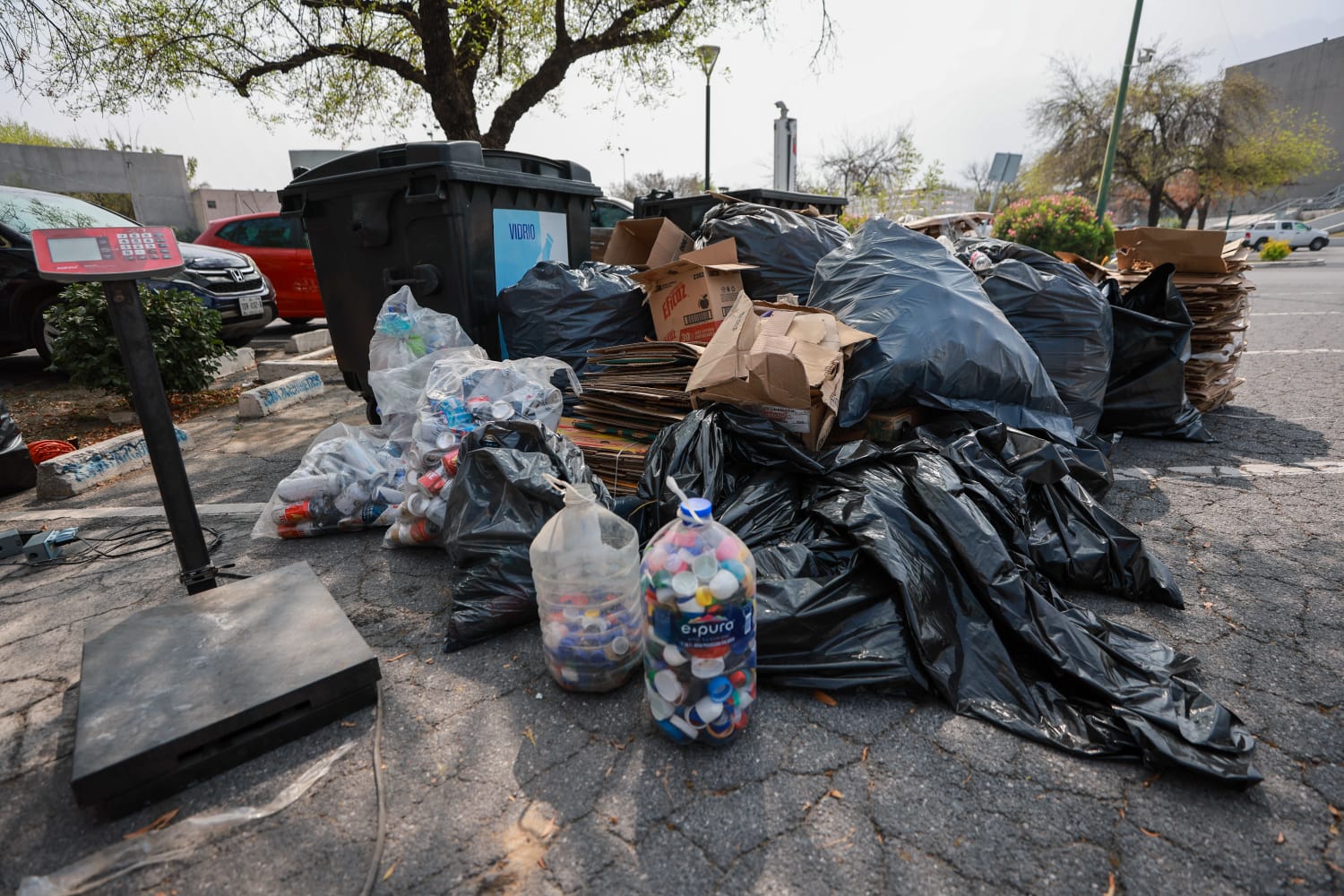 WhatsApp Image 2026-02-21 at 2.58.56 PM (1).jpeg