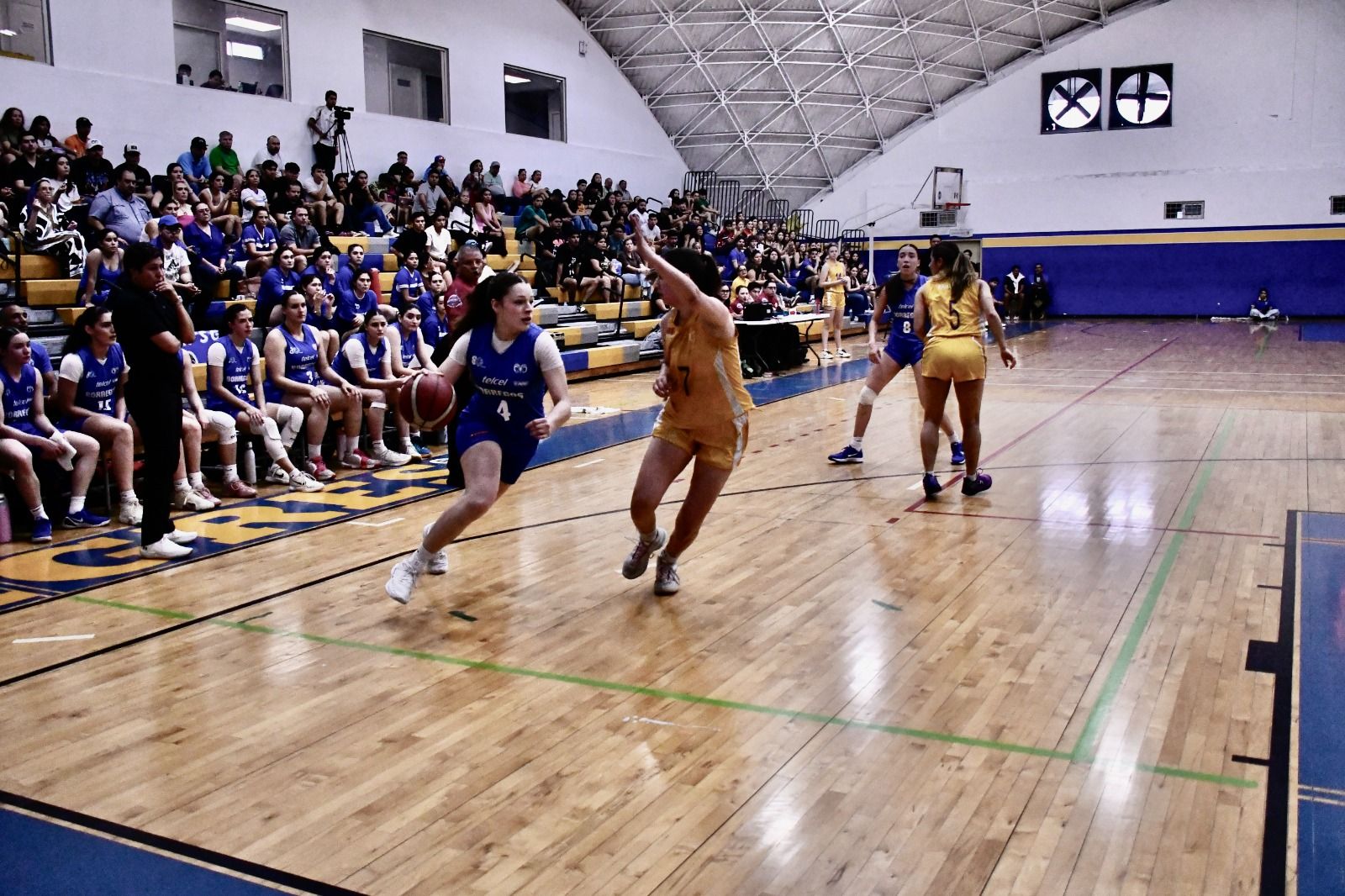 WhatsApp Image 2026-02-24 at 11.09.35 PM.jpeg