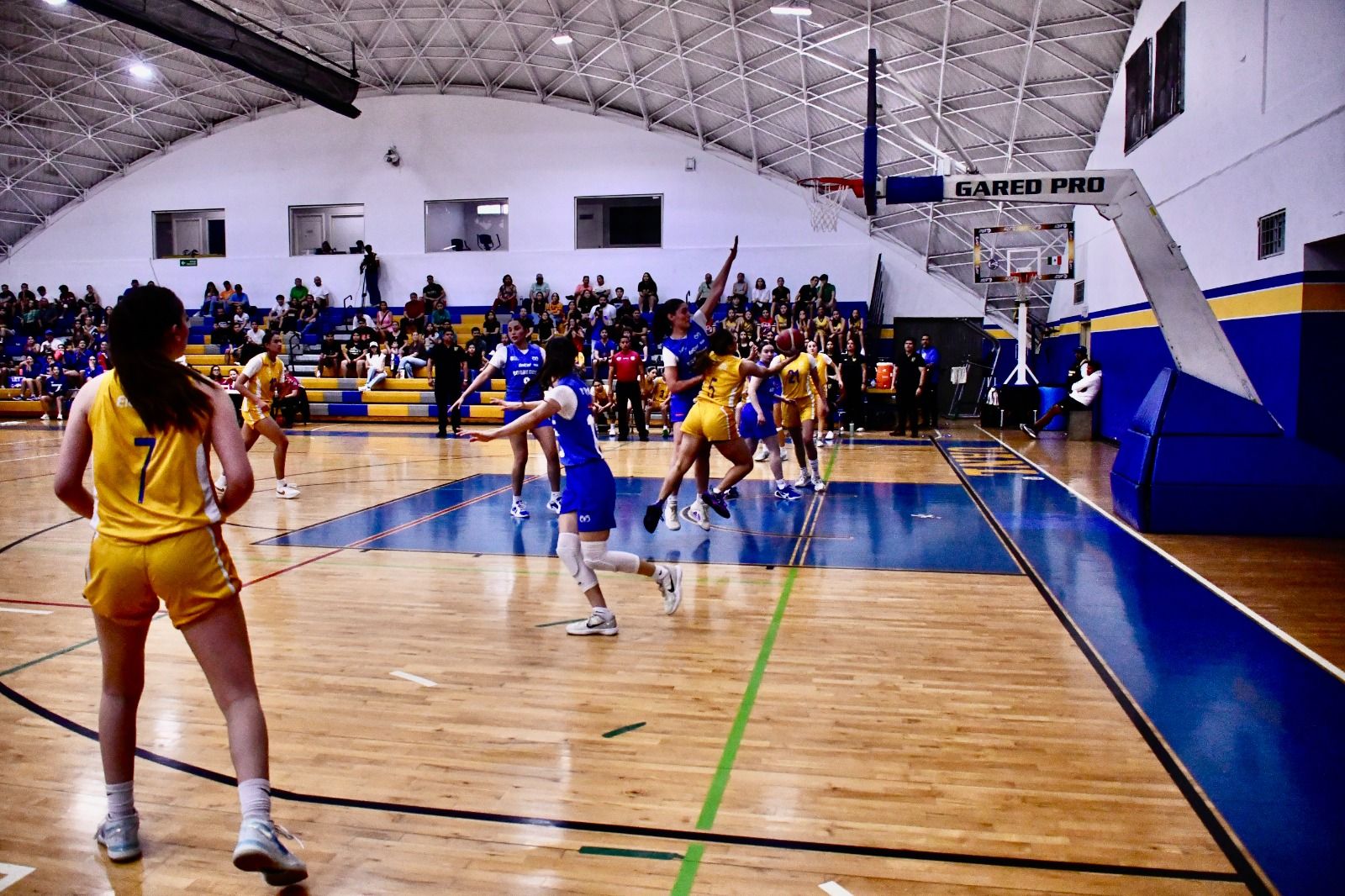 WhatsApp Image 2026-02-24 at 11.09.42 PM.jpeg