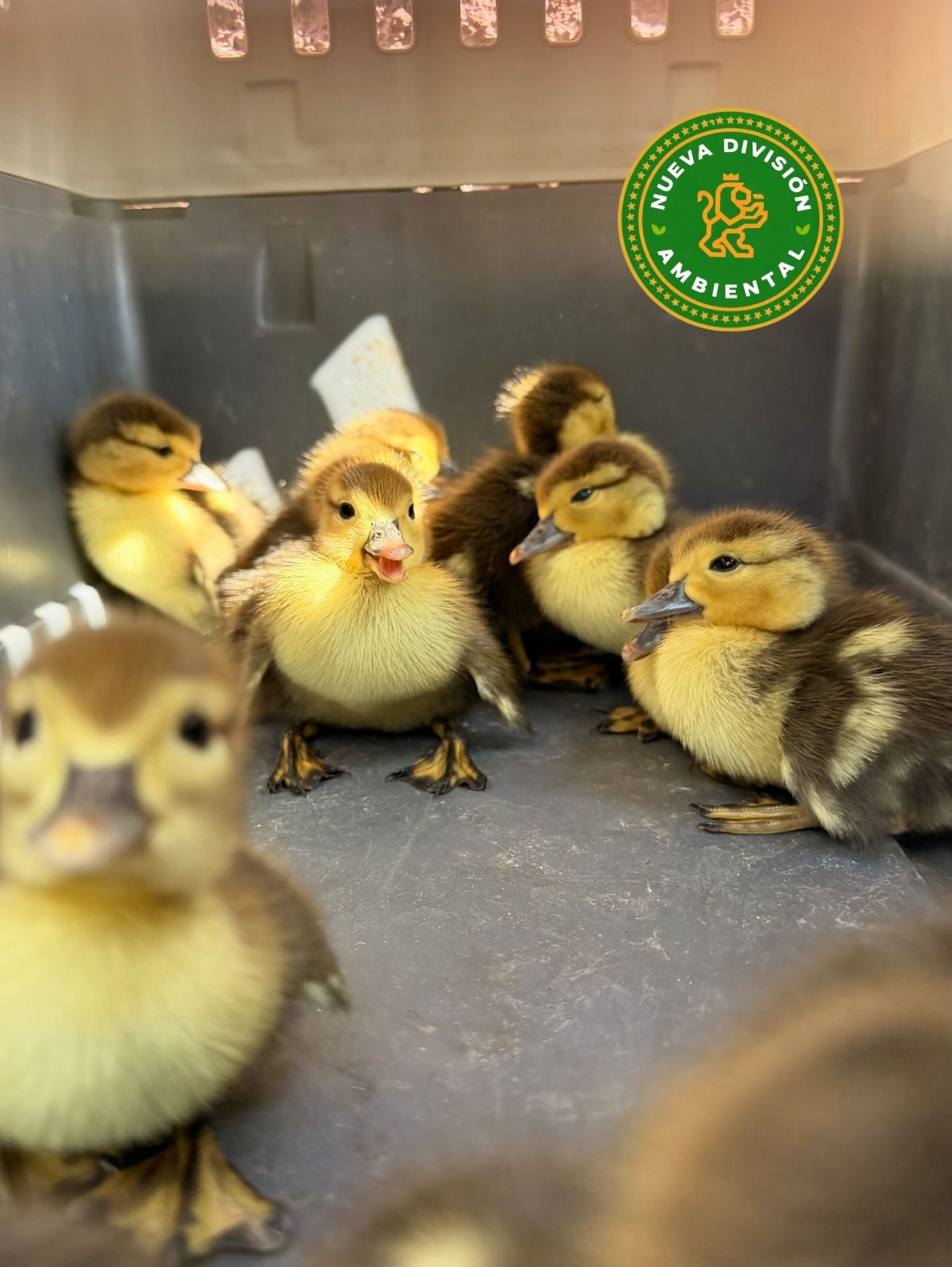 WhatsApp Image 2026-02-24 at 3.01.14 PM.jpeg