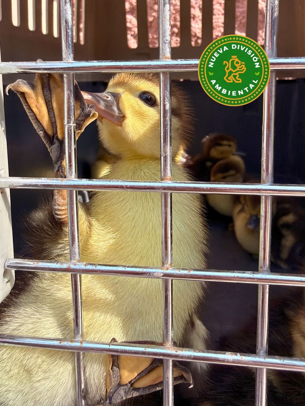 WhatsApp Image 2026-02-24 at 3.01.37 PM.jpeg