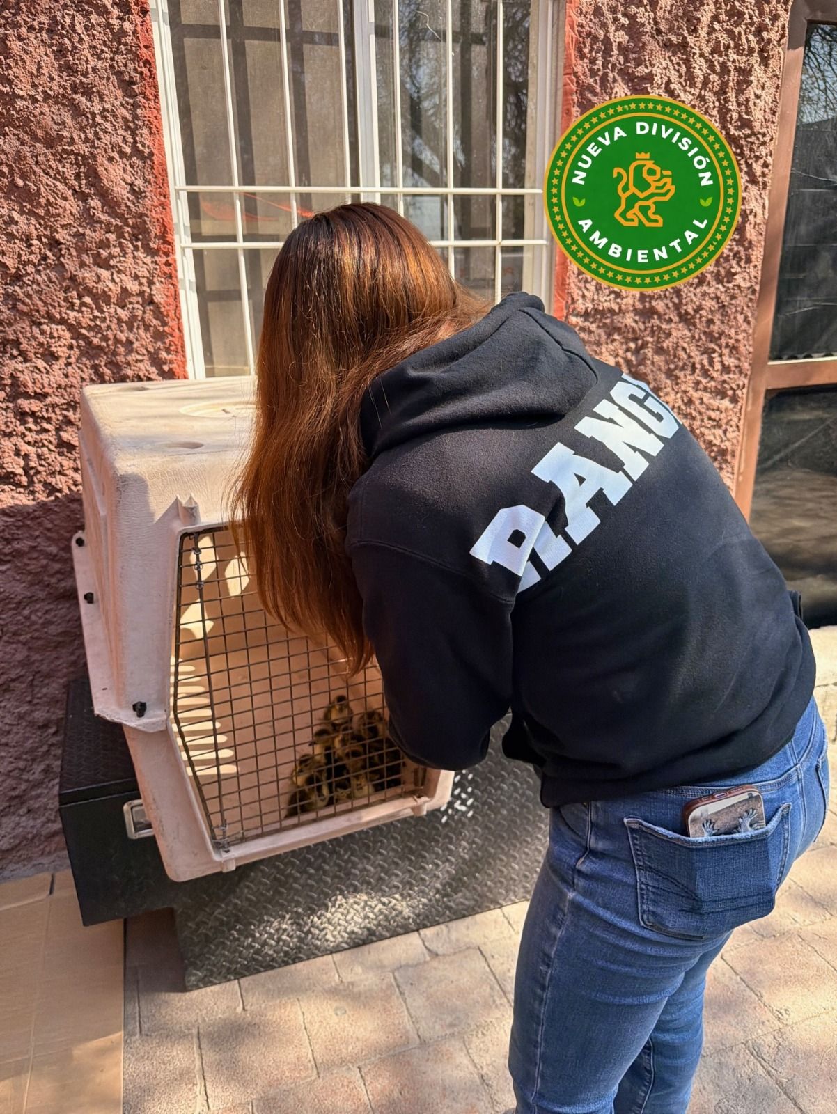 WhatsApp Image 2026-02-24 at 3.01.51 PM.jpeg