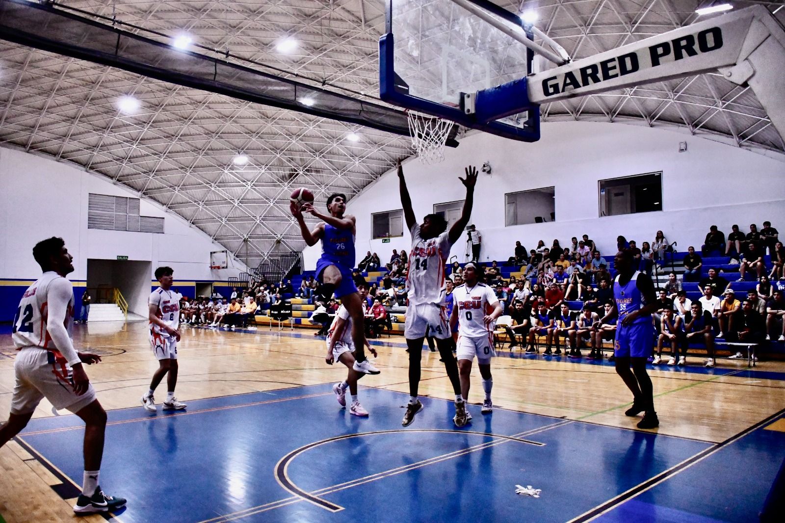 WhatsApp Image 2026-02-26 at 12.59.57 AM.jpeg