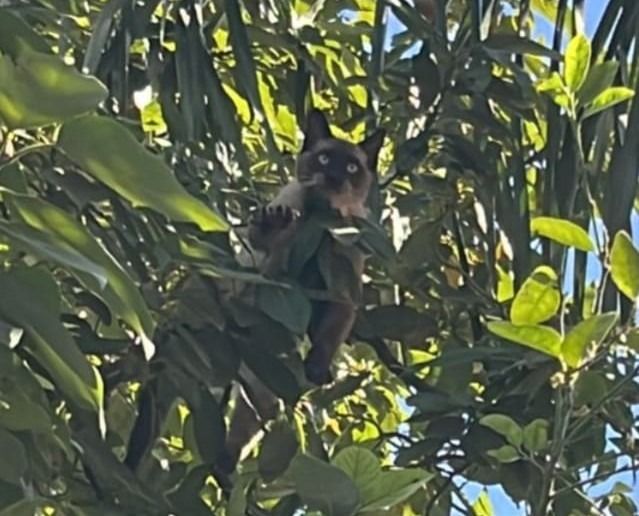 WhatsApp Image 2026-02-26 at 2.17.58 PM.jpeg