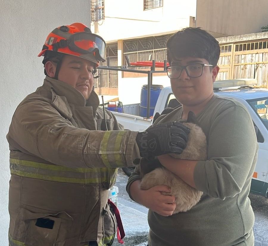 WhatsApp Image 2026-02-26 at 2.17.59 PM.jpeg