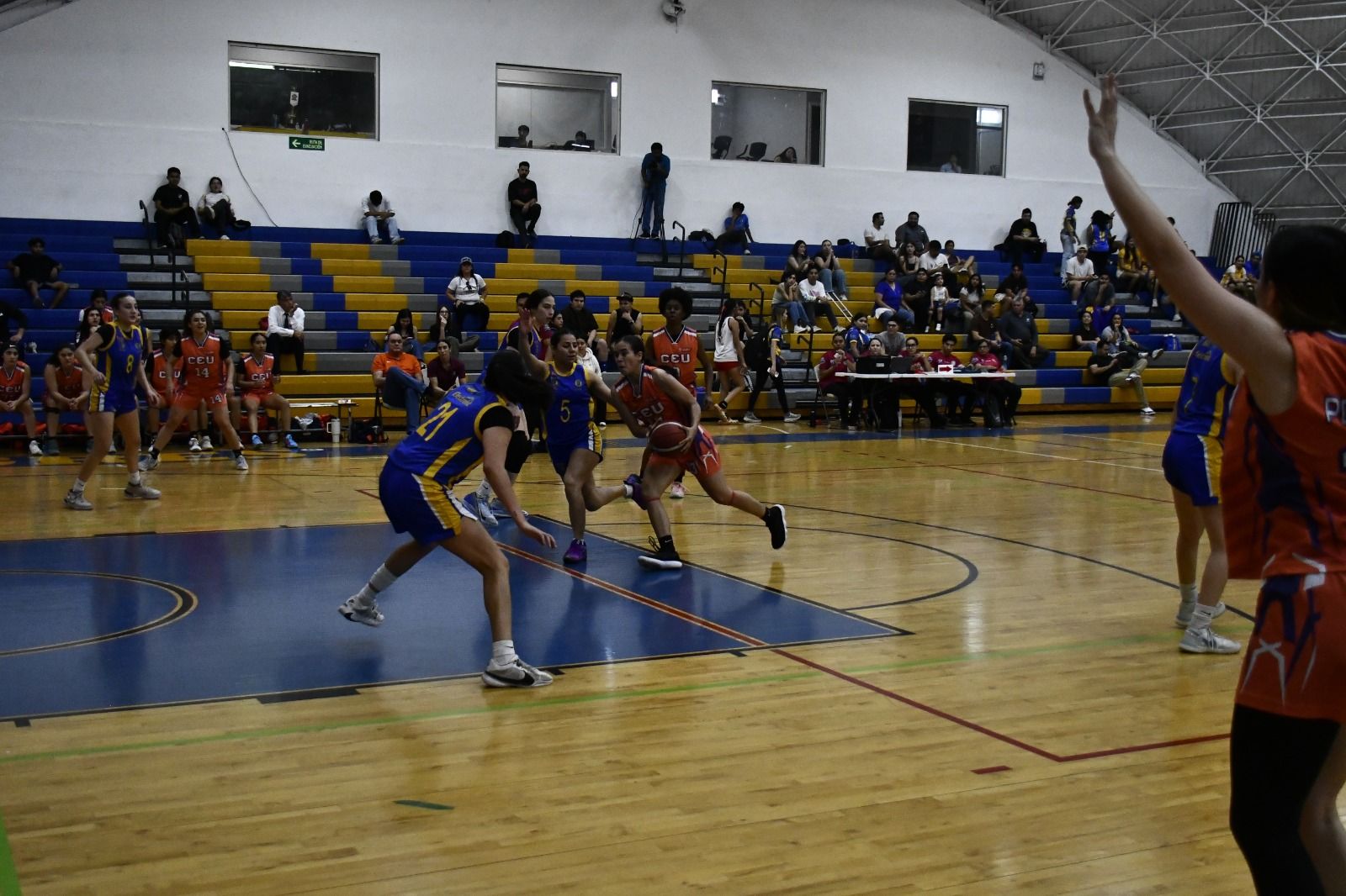 WhatsApp Image 2026-02-27 at 1.51.43 AM.jpeg