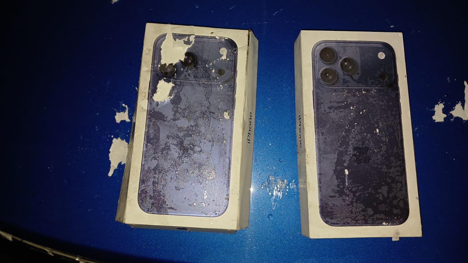 WhatsApp Image 2026-02-28 at 8.00.56 AM.jpeg