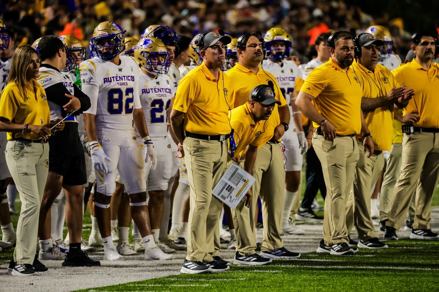 WhatsApp Image 2026-03-03 at 1.33.12 AM.jpeg