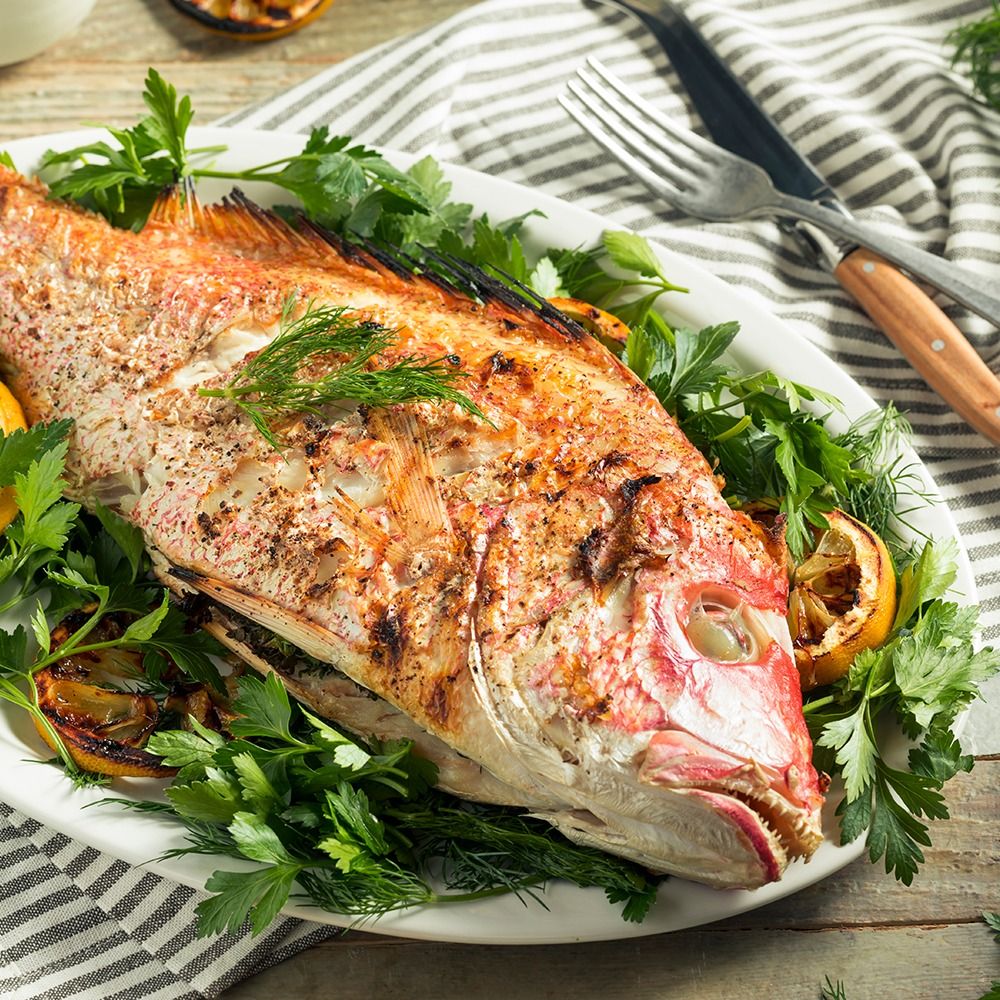 WhatsApp Image 2026-03-03 at 2.34.56 PM.jpeg