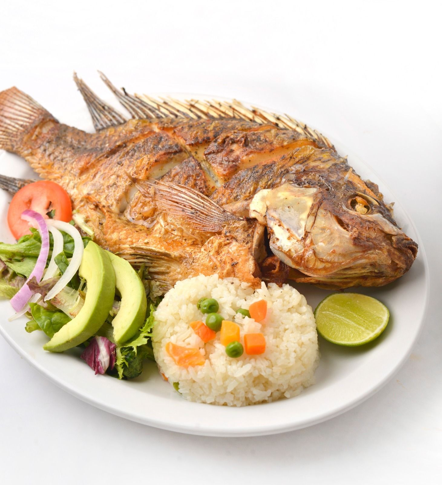 WhatsApp Image 2026-03-03 at 2.35.06 PM.jpeg