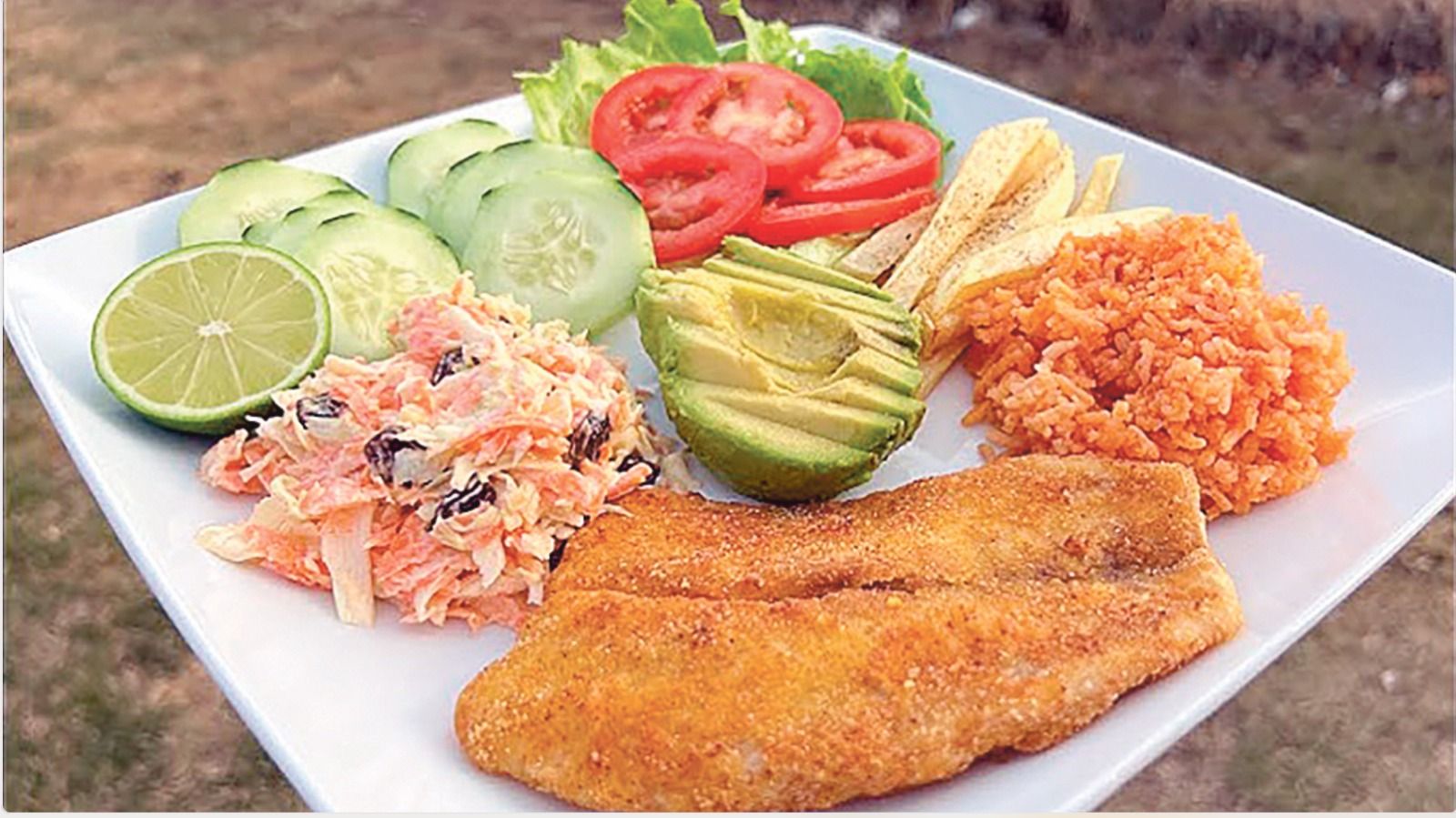 WhatsApp Image 2026-03-03 at 2.35.23 PM.jpeg