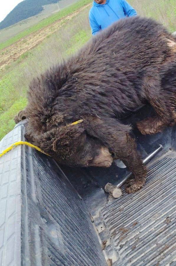 WhatsApp Image 2026-03-03 at 5.44.28 PM.jpeg