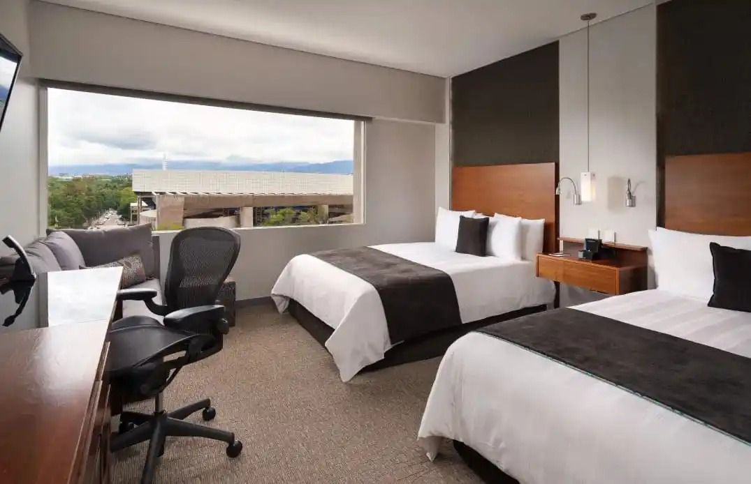 WhatsApp Image 2026-03-04 at 15.52.40.jpeg