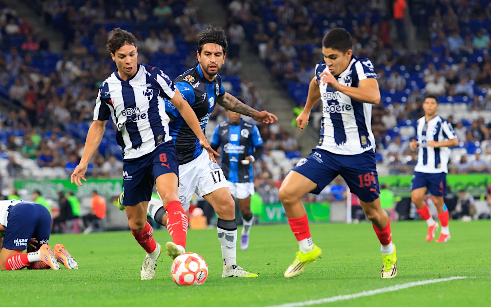 WhatsApp Image 2026-03-04 at 9.21.46 PM.jpeg