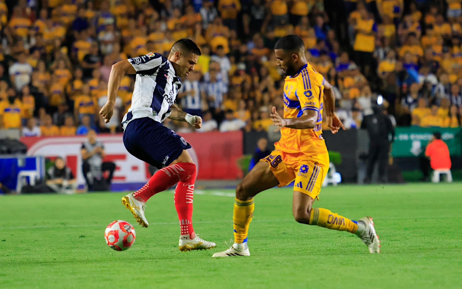 WhatsApp Image 2026-03-07 at 11.03.17 PM (1).jpeg