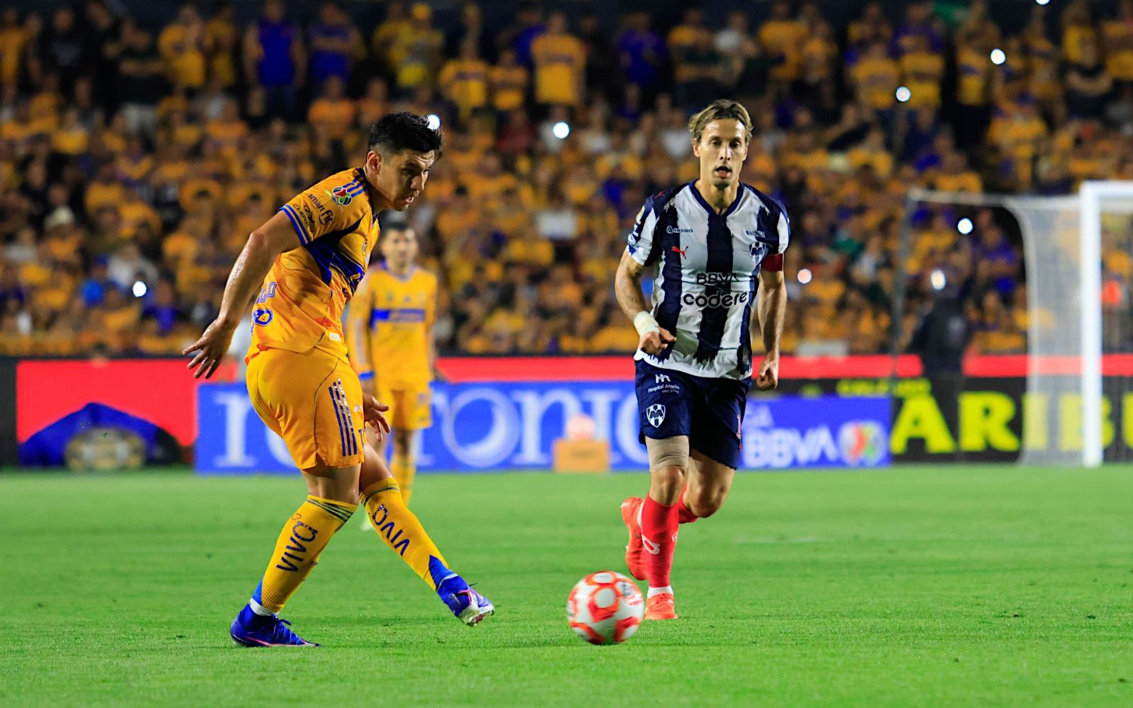 WhatsApp Image 2026-03-07 at 11.03.17 PM.jpeg