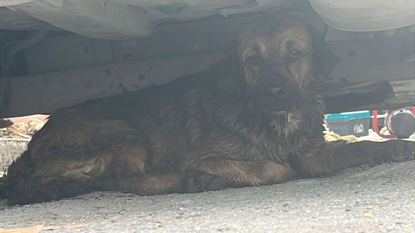 WhatsApp Image 2026-03-07 at 2.03.17 PM (1).jpeg