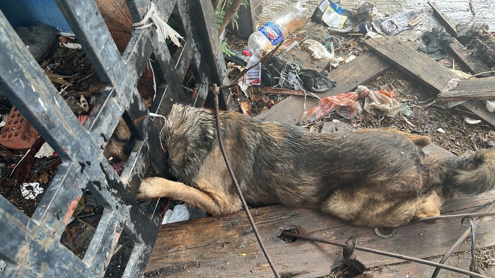 WhatsApp Image 2026-03-07 at 2.03.17 PM.jpeg