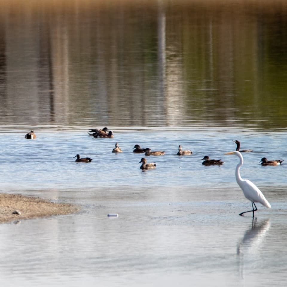 WhatsApp Image 2026-03-09 at 3.25.30 PM.jpeg