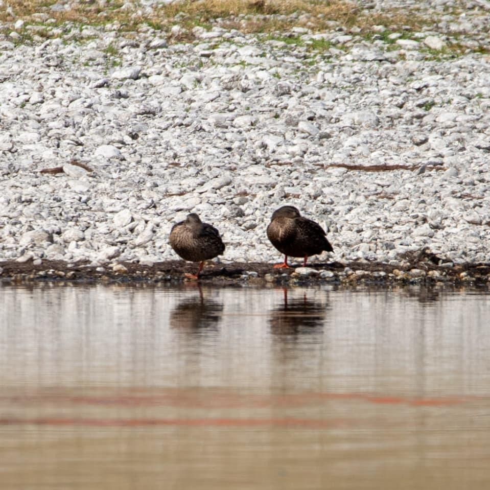 WhatsApp Image 2026-03-09 at 3.25.37 PM.jpeg