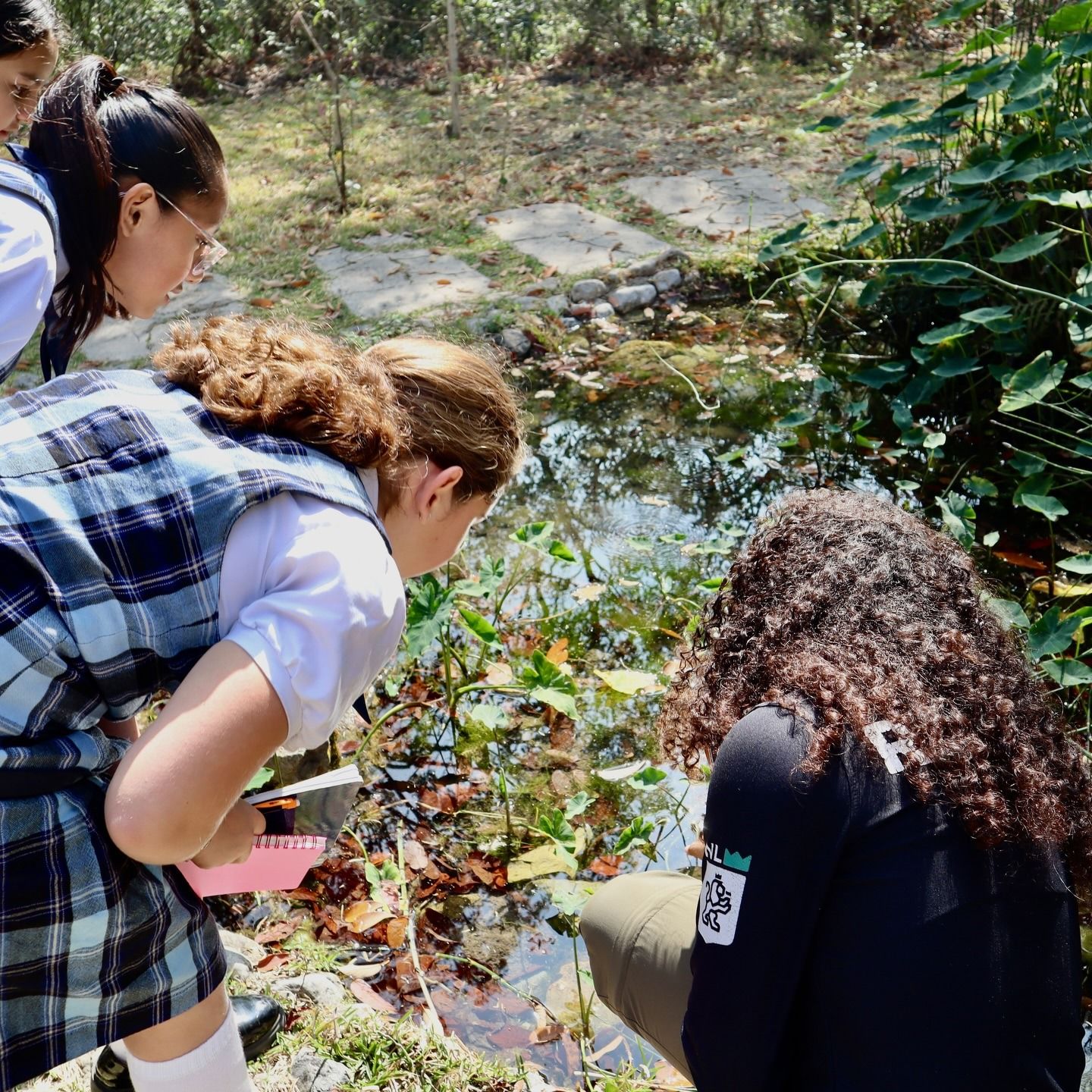 WhatsApp Image 2026-03-09 at 5.31.12 PM.jpeg