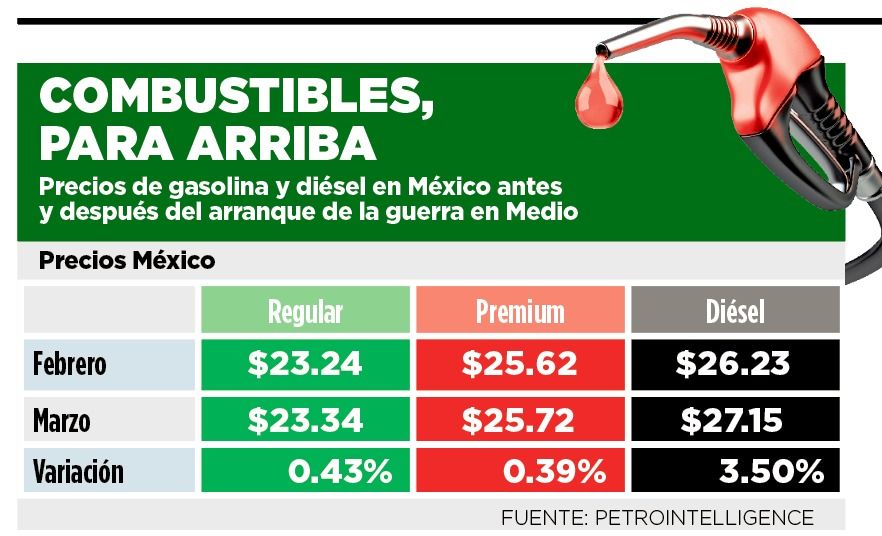 WhatsApp Image 2026-03-10 at 1.40.46 AM.jpeg