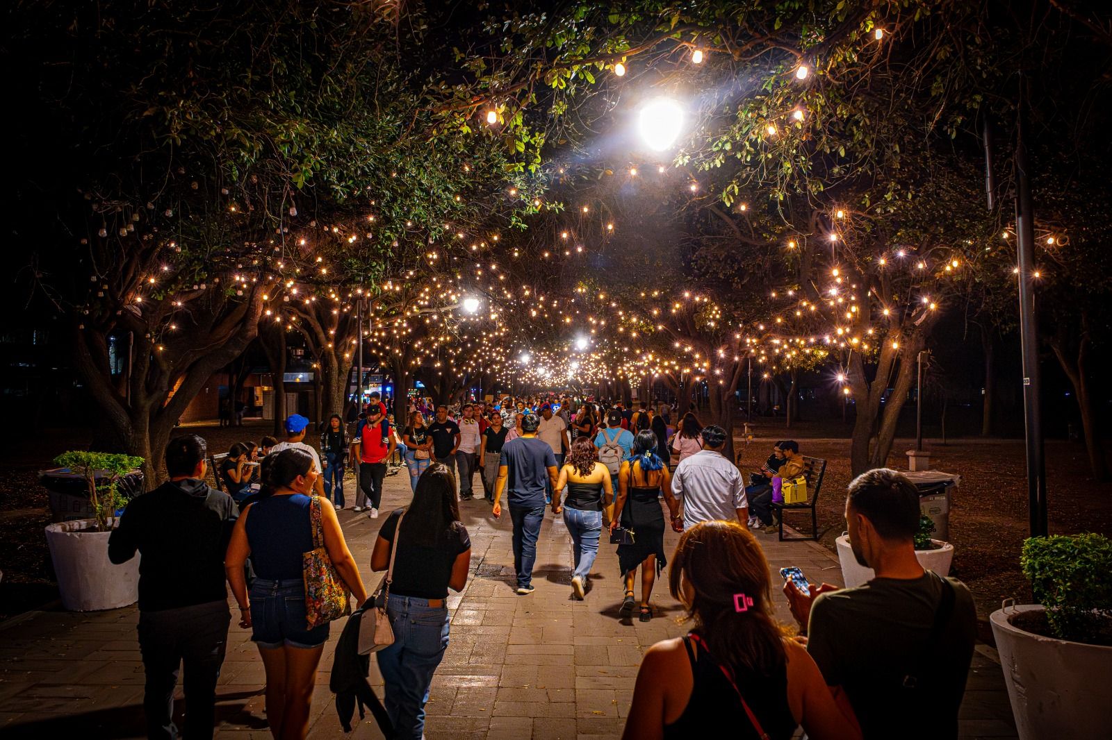 WhatsApp Image 2026-03-10 at 4.01.55 PM.jpeg