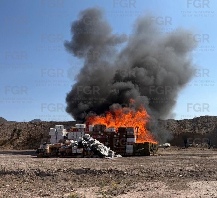 WhatsApp Image 2026-03-11 at 13.21.44 (1).jpeg