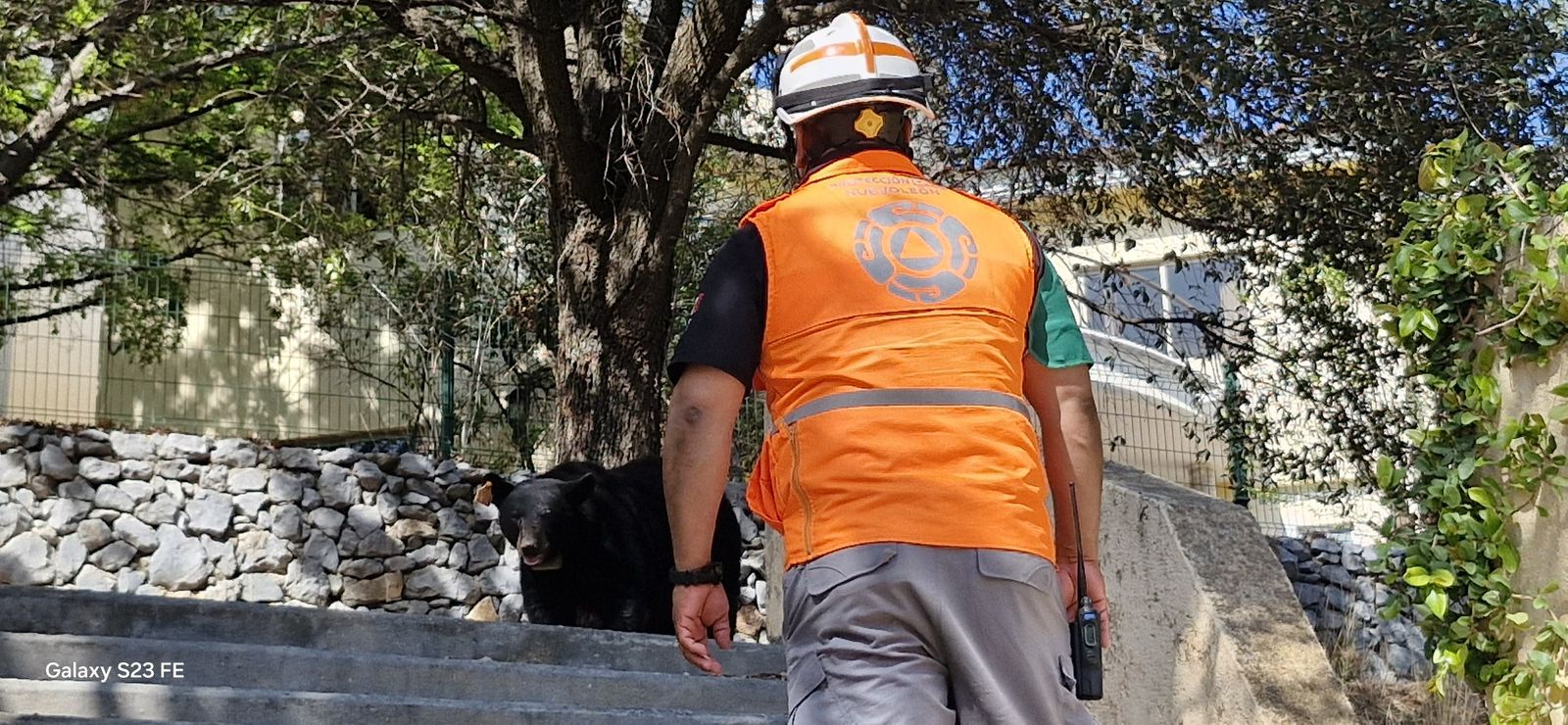 WhatsApp Image 2026-03-12 at 4.02.08 PM.jpeg