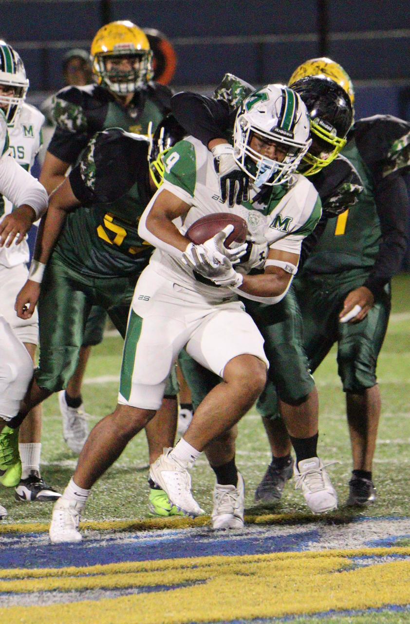 WhatsApp Image 2026-03-13 at 12.45.21 AM.jpeg